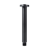 Brazo de regadera a techo INOX® Oro